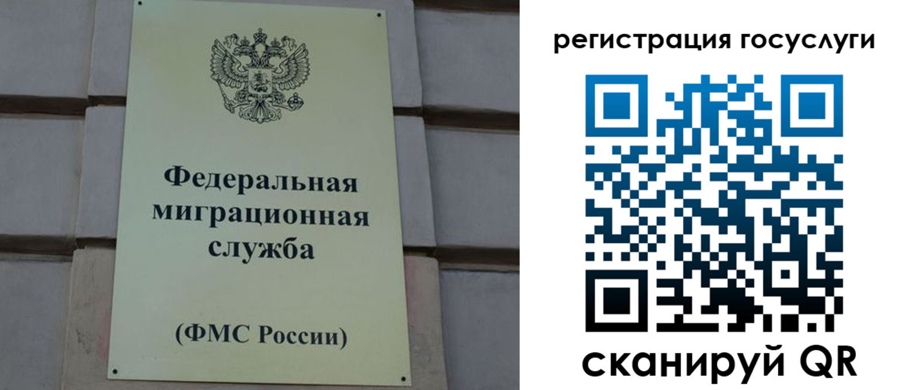 временная регистрация поиск в Ростове